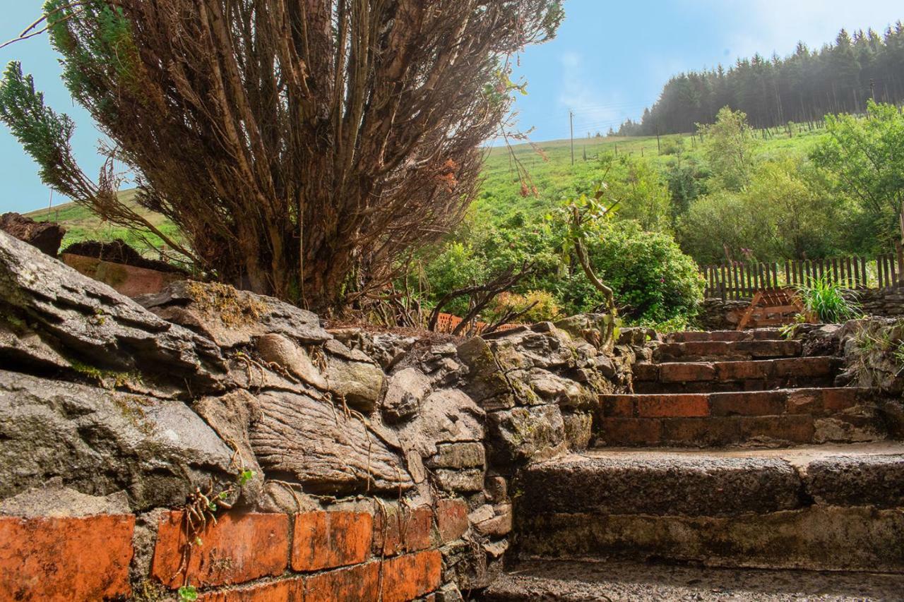 Afan Valley Home - Contractor Accommodation Port Talbot Exterior photo